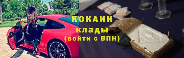 сатива Осташков