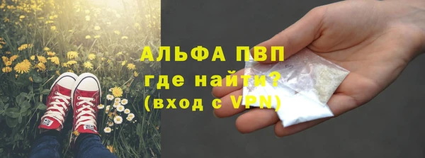 сатива Осташков