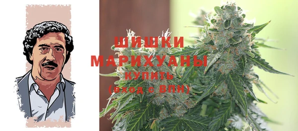 сатива Осташков