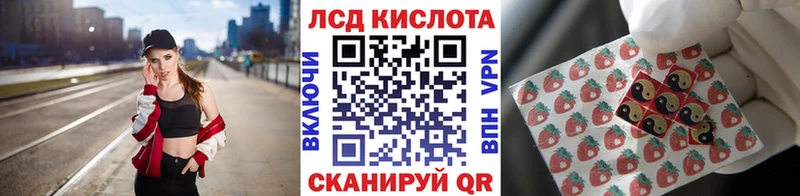 Марки N-bome 1,5мг Купить где Отрадная