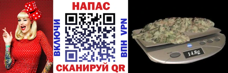 Каннабис OG Kush Купить где Отрадная